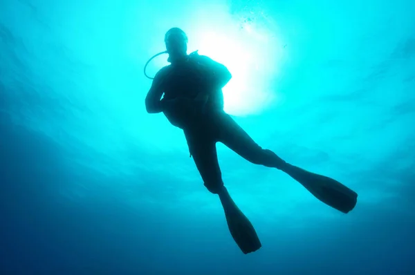 Ung Kvinna Dyker Mask Havet — Stockfoto