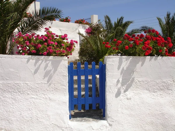 Blumen Auf Einem Gartentor Santorini — Stockfoto