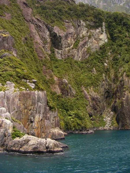 Milford Sound Nueva Zelanda — Foto de Stock