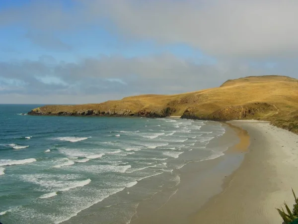 East Coast South Island — Stock Photo, Image