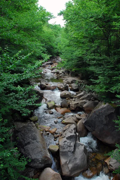 Schöne Aussicht Auf Die Natur — Stockfoto