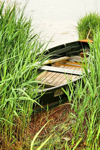 Vacker Utsikt Över Naturen — Stockfoto