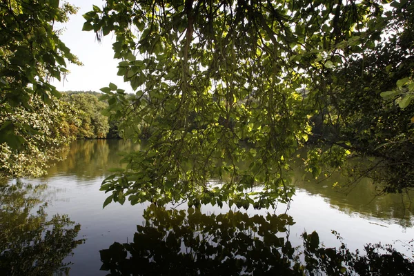 Hermosa Vista Naturaleza — Foto de Stock