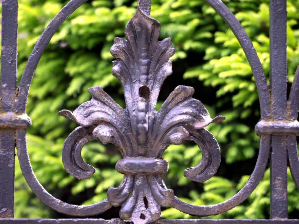 Παλιό Σκουριασμένο Μεταλλικό Φράχτη Ένα Floral Στοιχείο — Φωτογραφία Αρχείου