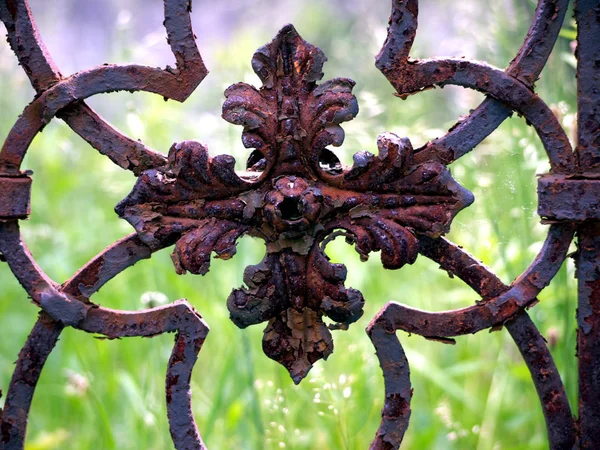 古い錆びた金属製の柵に花の要素 — ストック写真