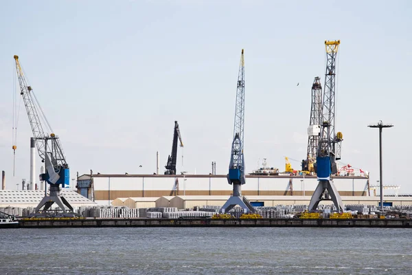 Szenischer Blick Auf Schwere Industriekräne — Stockfoto