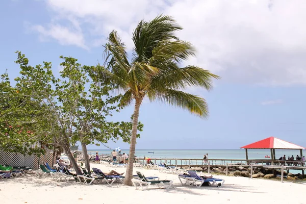 Praia Sonho Nos Bahamas — Fotografia de Stock