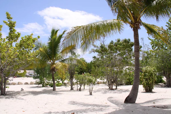 Drömstrand Bahamas — Stockfoto