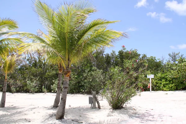 Praia Sonho Nos Bahamas — Fotografia de Stock