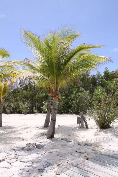 Playa Ensueño Las Bahías — Foto de Stock