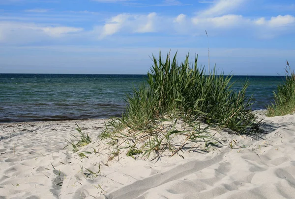 Mit Blick Auf Die Ostsee — Stockfoto