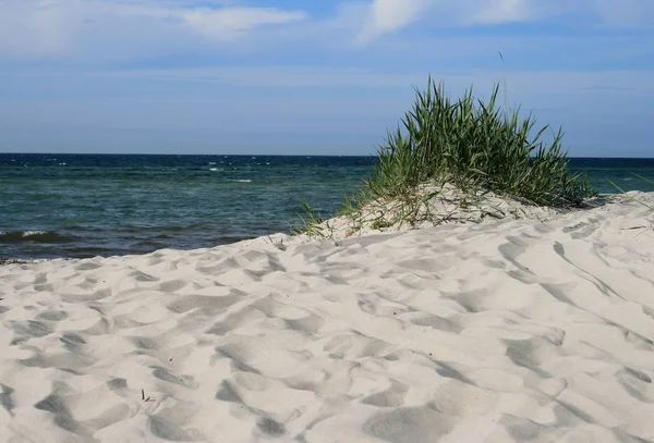 Con Vista Sul Mare Baltico — Foto Stock