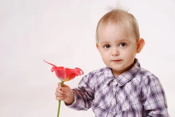 Retrato Criança Bonito Conceito Infância Feliz — Fotografia de Stock