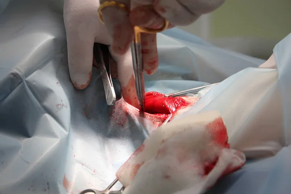 Schilderachtige Kijk Het Begrip Gezondheidszorg — Stockfoto