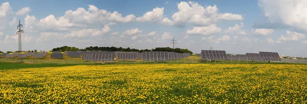 Zonnepark Paardenweide — Stockfoto