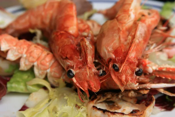 Udang Merah Makanan Laut — Stok Foto