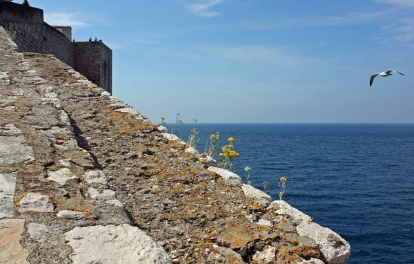 Adriático Braço Mais Setentrional Mar Mediterrâneo — Fotografia de Stock