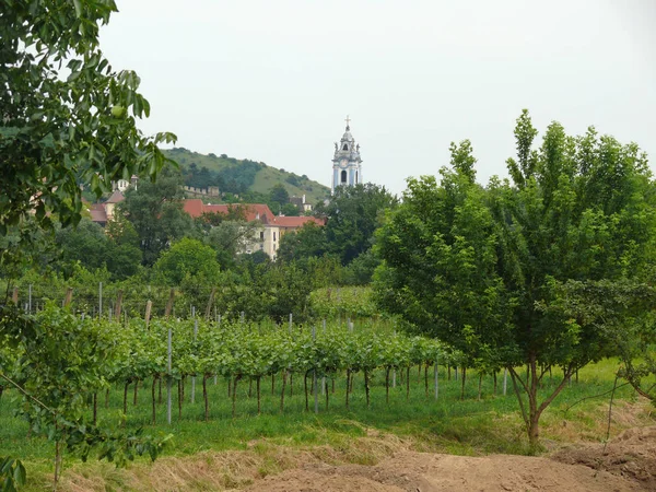 Wachau Valley Rakouský Region Blízkosti Dunaje Západně Vídně — Stock fotografie