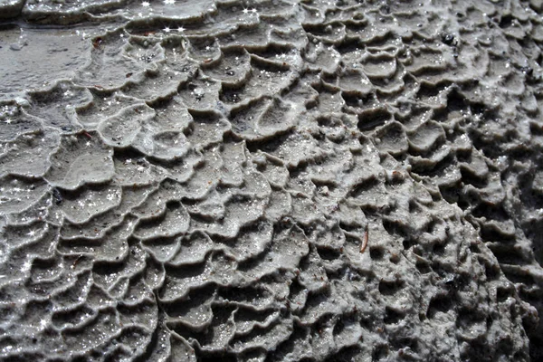 Textuur Van Oude Stenen Muur — Stockfoto