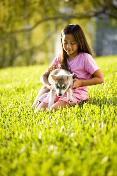 草の上に子犬を保持アジアの女の子 — ストック写真