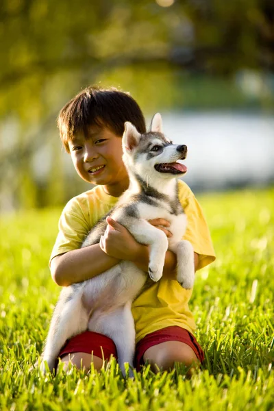 Chico Asiático Abrazando Cachorros Sentados Hierba —  Fotos de Stock