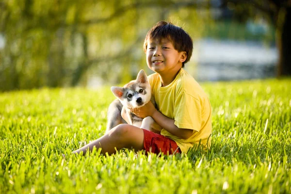 Chico Asiático Abrazando Cachorros Sentados Hierba —  Fotos de Stock