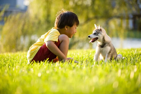 Aziatische Jongen Spelen Met Puppy Gras — Stockfoto