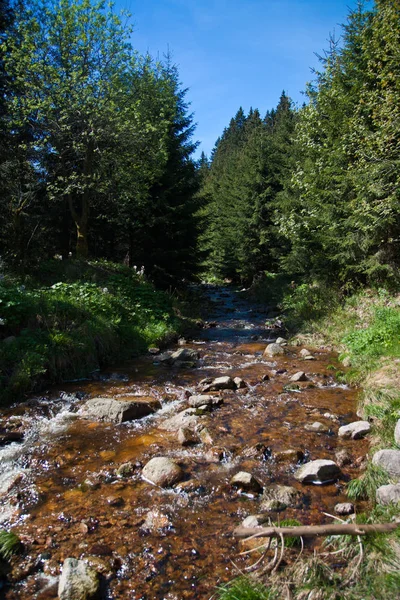 Whitewater Morning — Stock Photo, Image