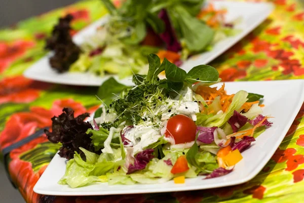 Fresca Grande Insalata Estiva Italiana — Foto Stock