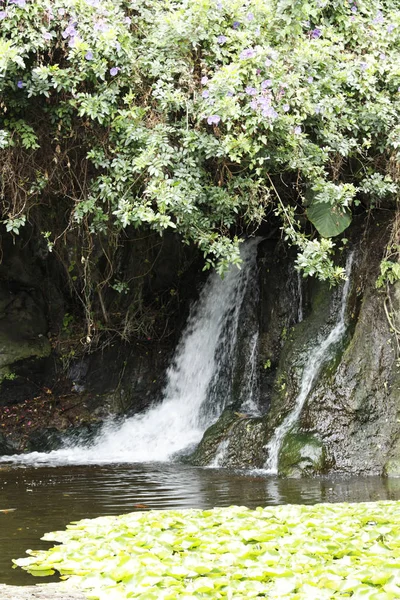 Mooie Waterval Natuur Achtergrond — Stockfoto