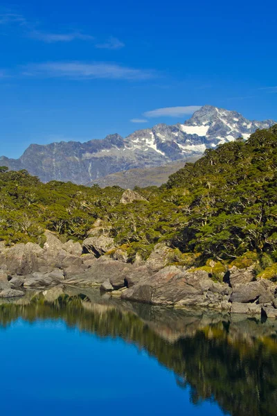 Schilderachtig Uitzicht Prachtige Natuur Berglandschap — Stockfoto