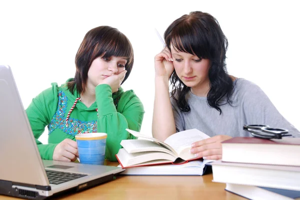 Two Girls Studying Together Laptop — Stock Photo, Image