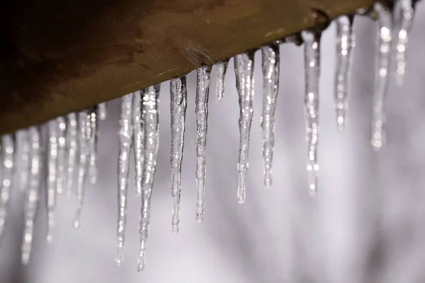 Vista Una Scena Invernale — Foto Stock