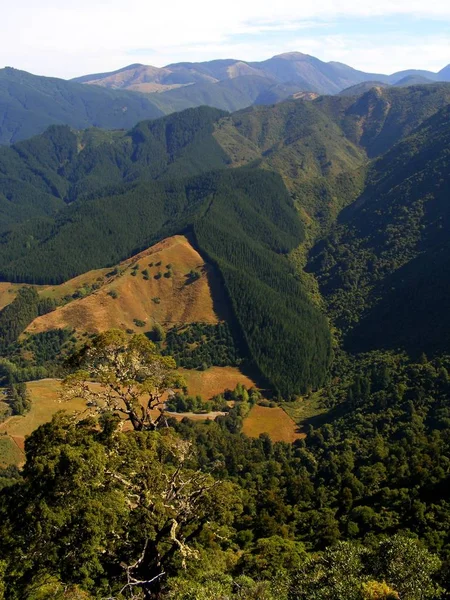 Vista Del Parque Nacional — Foto de Stock