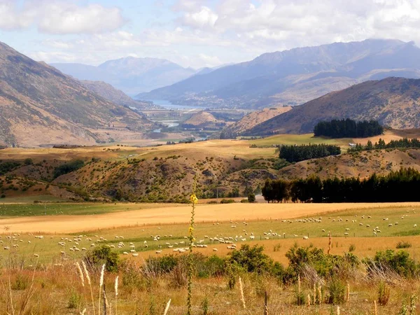 Queenstown Neuseeland Liegt Ufer Des Südinselsees Wakatipu Vor Den Dramatischen — Stockfoto