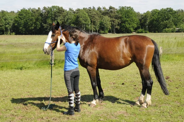 Έφηβο Κορίτσι Άλογο — Φωτογραφία Αρχείου