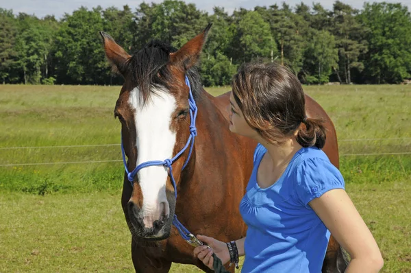 Teenager Mädchen Mit Pferd — Stockfoto