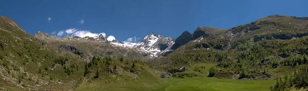 Vista Panorámica Del Campo Enfoque Selectivo — Foto de Stock