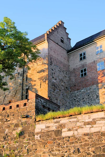 Vacker Utsikt Över Fascinerande Fästning Byggnad — Stockfoto