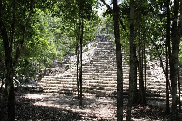 Eski Coba Maya Harabelerinin Manzarası — Stok fotoğraf