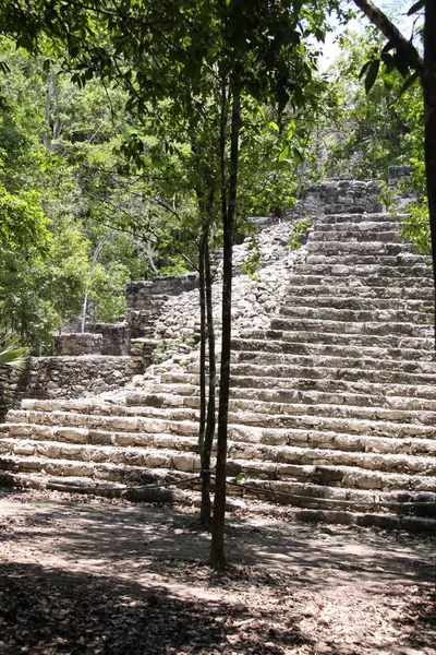 Vista Panorâmica Antigas Ruínas Coba Mayan — Fotografia de Stock