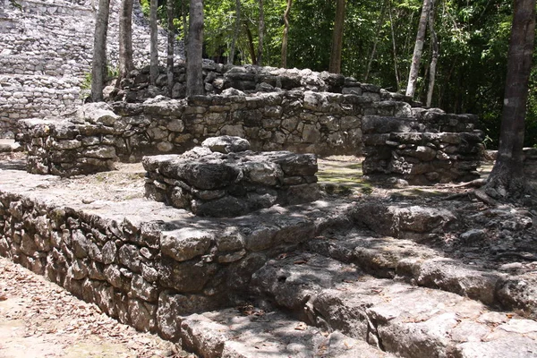 Vista Panoramica Vecchie Rovine Maya Coba — Foto Stock