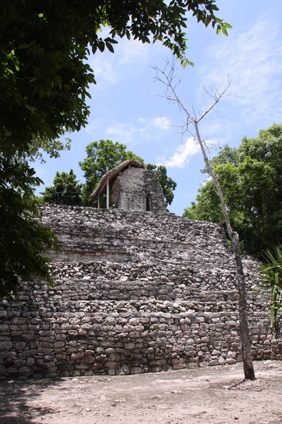 Vista Panorámica Viejas Ruinas Mayas Coba —  Fotos de Stock