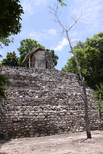 Malerischer Blick Auf Alte Ruinen Der Coba Maya — Stockfoto