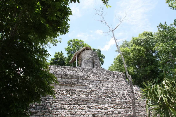 Vue Panoramique Vieilles Ruines Mayas Coba — Photo