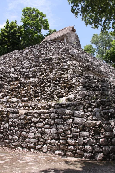 Vue Panoramique Vieilles Ruines Mayas Coba — Photo