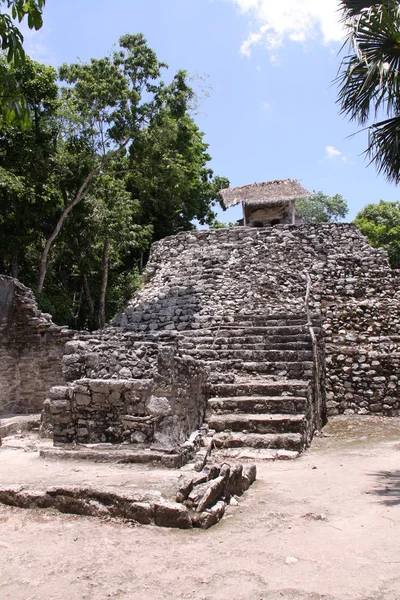 Malerischer Blick Auf Alte Ruinen Der Coba Maya — Stockfoto