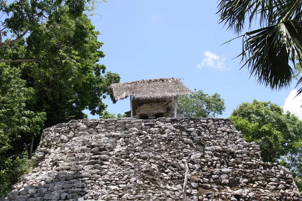 Eski Coba Maya Harabelerinin Manzarası — Stok fotoğraf