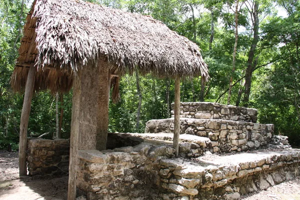 Vista Panorâmica Antigas Ruínas Coba Mayan — Fotografia de Stock