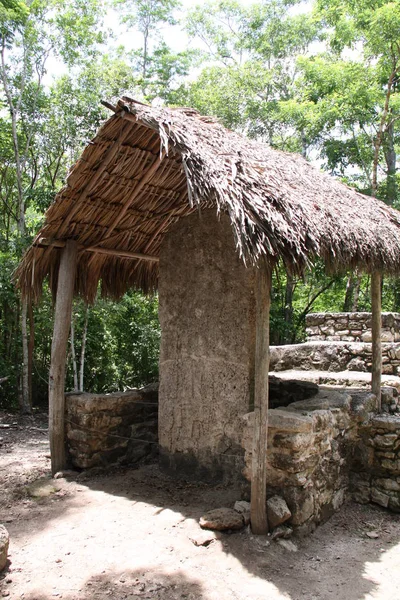 Vista Panorâmica Antigas Ruínas Coba Mayan — Fotografia de Stock